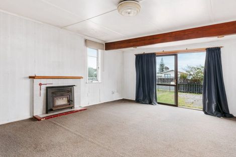 Photo of property in 19 Paterson Street, Mount Maunganui, 3116