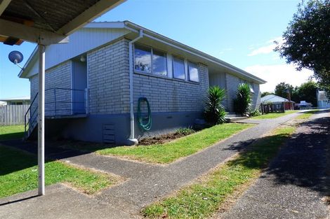 Photo of property in 39 Rangitahi Street, Otorohanga, 3900