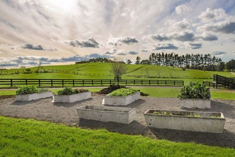 Photo of property in 105 Willis Road, Ngahinapouri, Hamilton, 3290