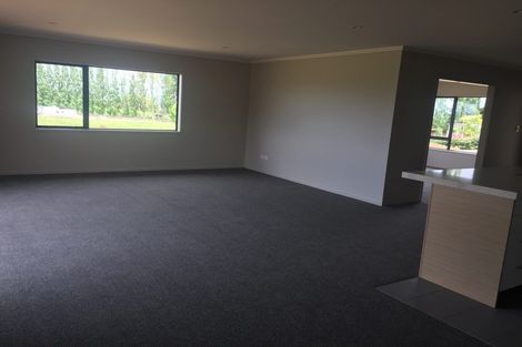 Photo of property in 93 Cameron Town Road, Pukekohe, 2678