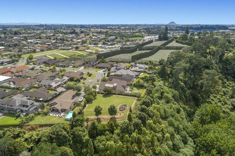Photo of property in 51 Garvan Glen, Pyes Pa, Tauranga, 3112