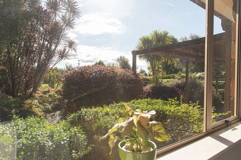 Photo of property in 395 Mcclure Street, Pirongia, 3802