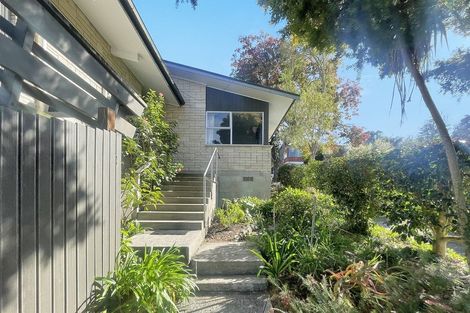 Photo of property in 47 Aurora Terrace, Hillcrest, Hamilton, 3216