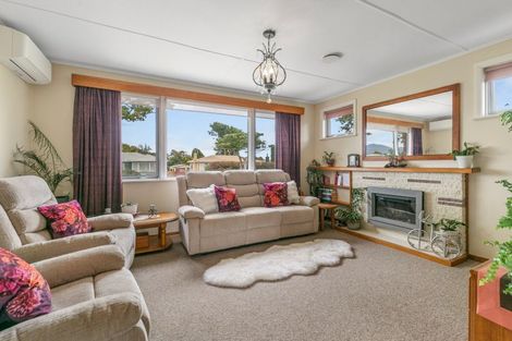 Photo of property in 40 Graham Street, Levin, 5510