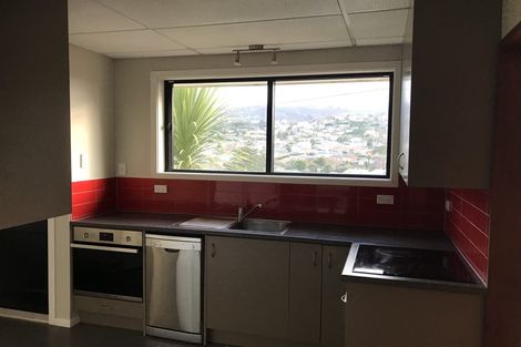 Photo of property in 8a Malta Street, Kaikorai, Dunedin, 9010