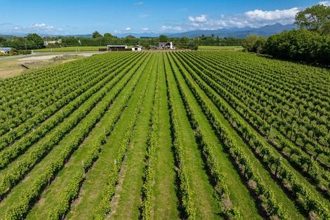 Photo of property in 5 Brook Street, Renwick, 7204