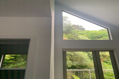 Photo of property in 45 Farnham Street, Mornington, Wellington, 6021