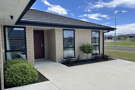 Photo of property in 40 Murray Ward Drive, Te Kauwhata, 3710