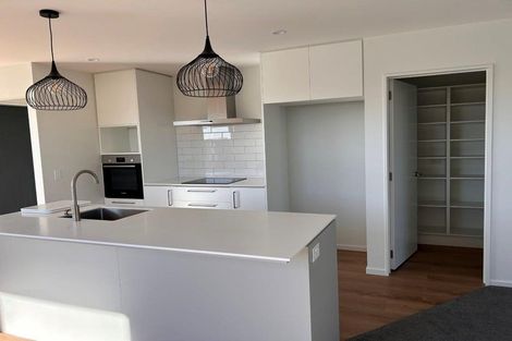 Photo of property in 19 Robson Drive, Lincoln, 7674