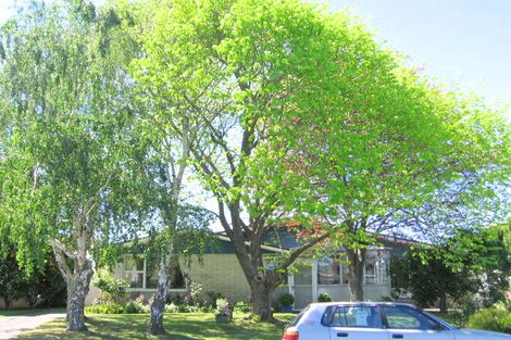 Photo of property in 10 Mason Street, Riverdale, Gisborne, 4010