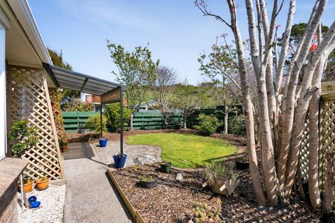 Photo of property in 1/9 Pukekohatu Street, Waitara, 4320