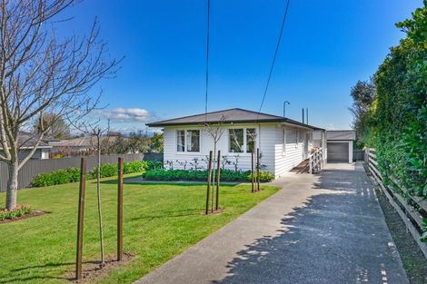 Photo of property in 46 Given Street, Havelock North, 4130