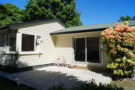 Photo of property in 12 Tekoa Street, Waiau, 7332