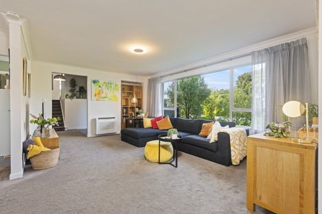 Photo of property in 33 Newcastle Street, Hokowhitu, Palmerston North, 4410