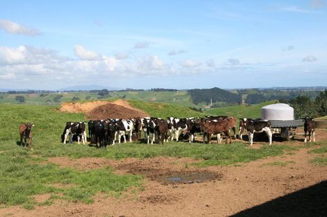 Photo of property in 888a Otaraoa Road, Tikorangi, Waitara, 4383