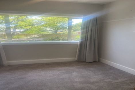 Photo of property in 199 Ashgrove Terrace, Somerfield, Christchurch, 8024