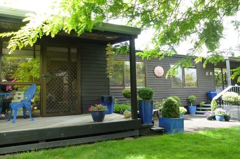 Photo of property in 24 Lindale Street, Morrinsville, 3300