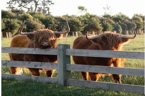 Photo of property in 4 Awatiro Drive, Kaukapakapa, 0871