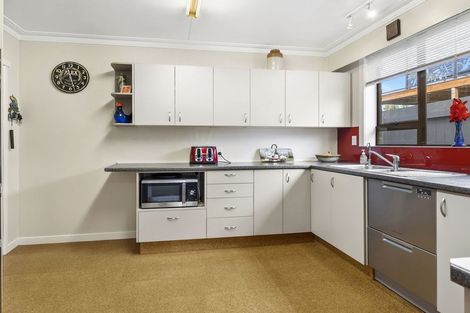 Photo of property in 4 Leven Street, Roslyn, Dunedin, 9010