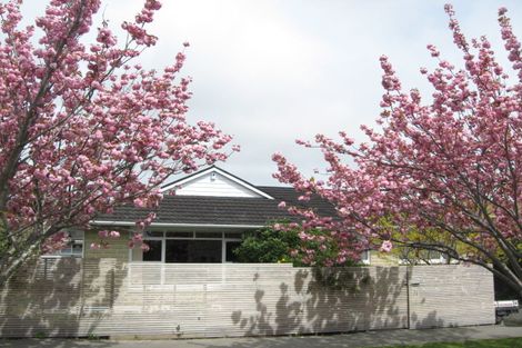 Photo of property in 74 Halifax Street East, The Wood, Nelson, 7010