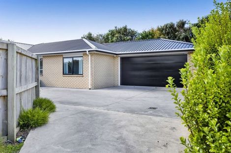 Photo of property in 603a Haowhenua Place, Hawera, 4674