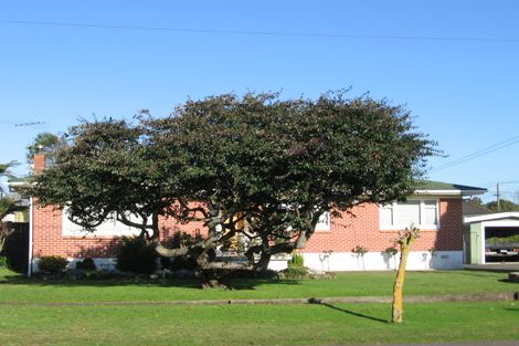 Photo of property in 109 Old Wairoa Road, Papakura, 2110