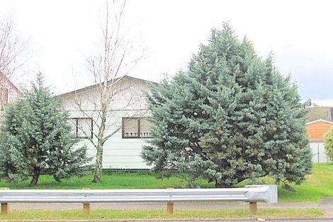 Photo of property in 101 Martyn Road, Whangamata, 3620