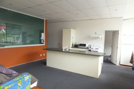 Photo of property in City Lodge, 202/115 Vivian Street, Te Aro, Wellington, 6011