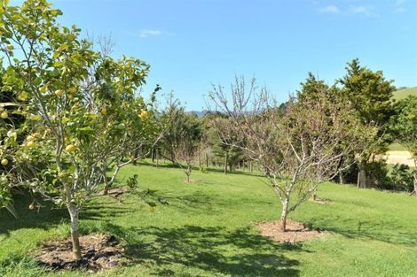 Photo of property in 965 Pataua Road North, Whareora, Whangarei, 0175