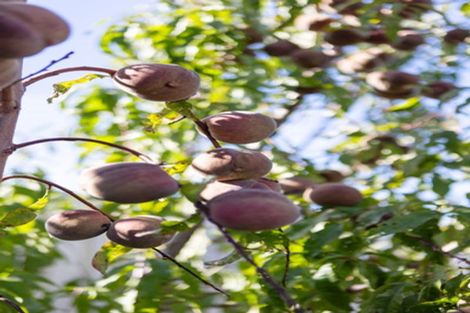 Photo of property in 20a Tiora Place, Upper Riccarton, Christchurch, 8041