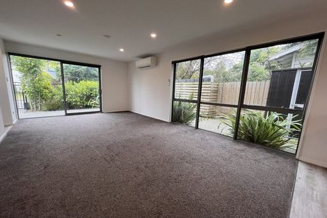 Photo of property in 120a Nursery Road, Phillipstown, Christchurch, 8011