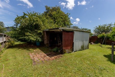 Photo of property in 44 Claremont Avenue, Paeroa, 3600