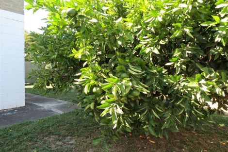 Photo of property in 1/58a William Street, Richmond, 7020