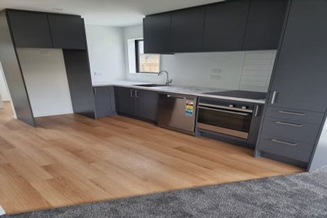 Photo of property in 3/168 Bordesley Street, Phillipstown, Christchurch, 8011