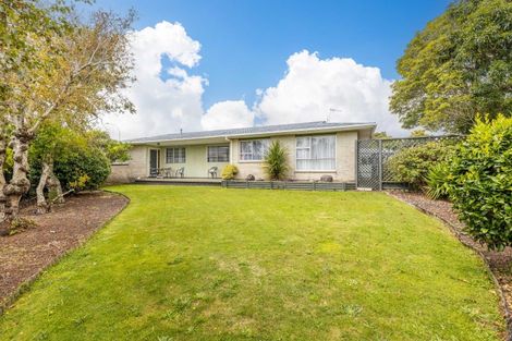 Photo of property in 10 Leon Place, Waitara, 4320
