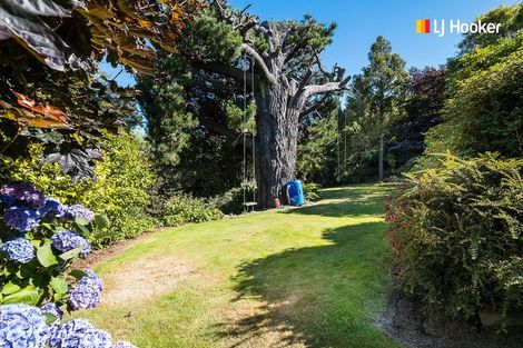 Photo of property in 115 Belford Street, Waverley, Dunedin, 9013