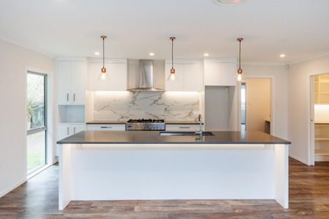 Photo of property in 30 Frederick Street, Terrace End, Palmerston North, 4410