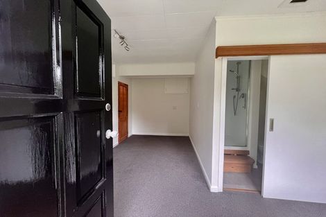 Photo of property in 142 The Ridgeway, Mornington, Wellington, 6021