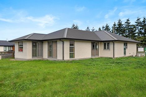 Photo of property in 65 Courage Road, Amberley, 7410