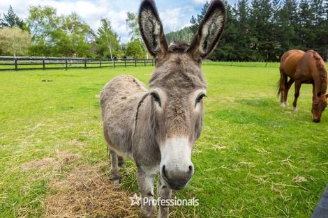 Photo of property in 1138b Maymorn Road, Maymorn, Upper Hutt, 5018