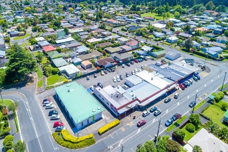 Photo of property in 26 Taylor Terrace, St Andrews, Hamilton, 3200