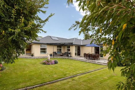 Photo of property in 217 Taylor Pass Road, Witherlea, Blenheim, 7201