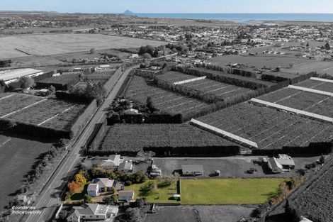 Photo of property in 51 Otara Road, Otara, Opotiki, 3197