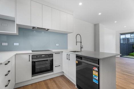 Photo of property in 14 Tupuke Lane, Mount Roskill, Auckland, 1041