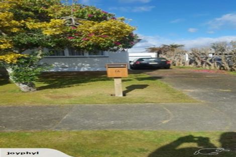 Photo of property in 16 Ferguson Street, Levin, 5510