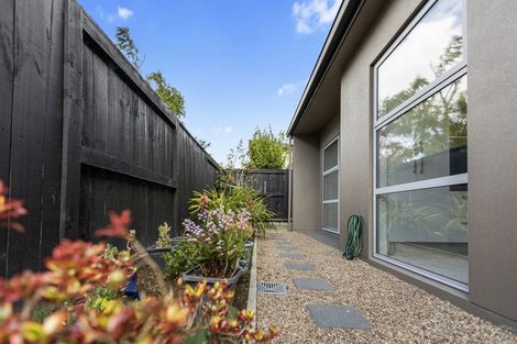 Photo of property in 15 Aubrey Way, Brookfield, Tauranga, 3110