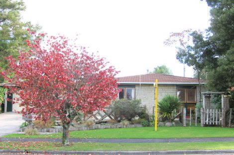 Photo of property in 14 Tawa Place, Tokoroa, 3420