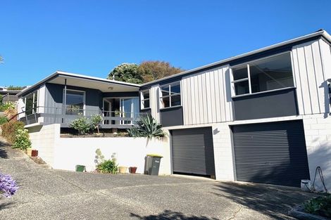 Photo of property in 33 Elliffe Place, Shiel Hill, Dunedin, 9013