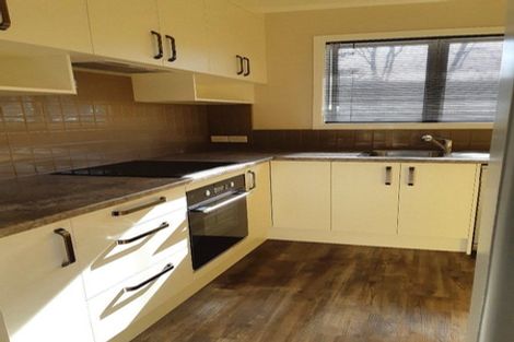 Photo of property in 29 Carlson Crescent, Silverdale, Hamilton, 3216