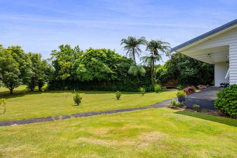 Photo of property in 114 Ariel Street, Stratford, 4332